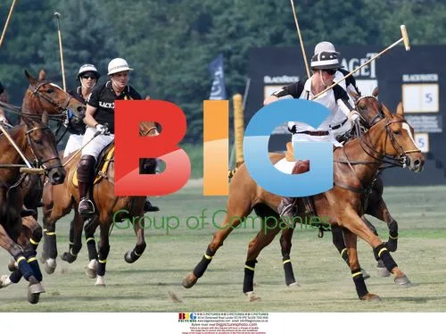 Prince Harry Plays Polo in New York