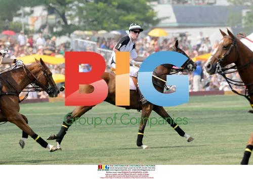 Prince Harry Polo Classic 2010