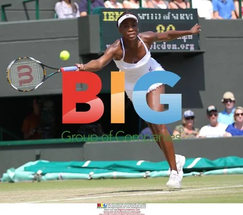 Venus Williams at Wimbledon