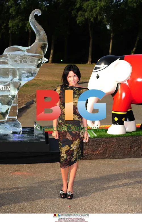 Andrea Corr at Elephant Parade Auction