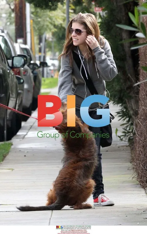 Anna Kendricks Pets Dog in Santa Monica