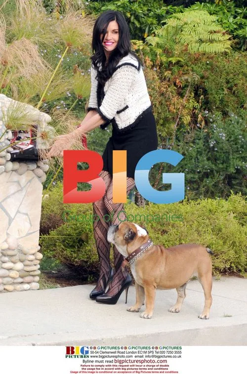 Janice Dickinson Walks Dogs in Bel Air