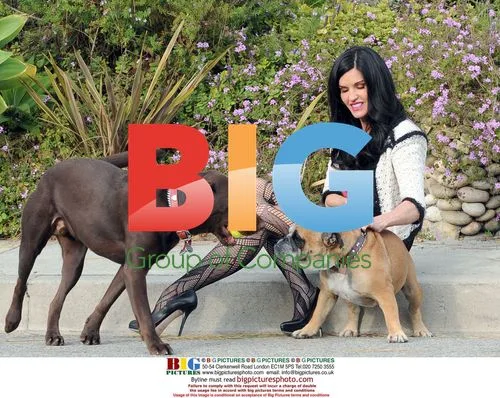 Janice Dickinson Walks Dogs in Bel Air