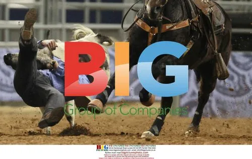Brad McGilchrist steer wrestling at Houston Rodeo