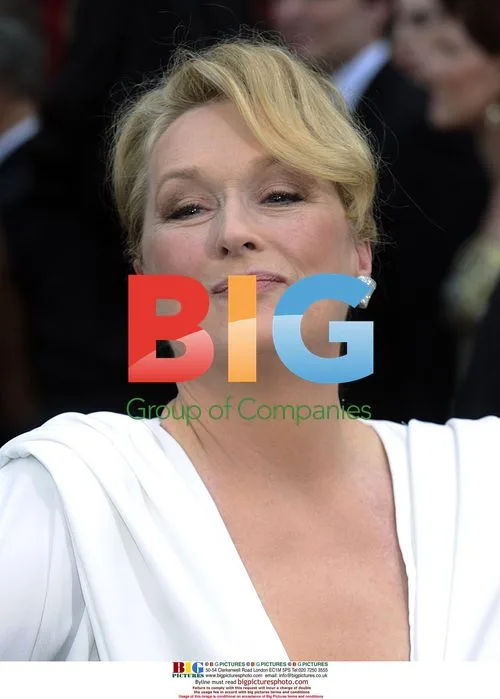Meryl Streep Oscars Red Carpet 2010