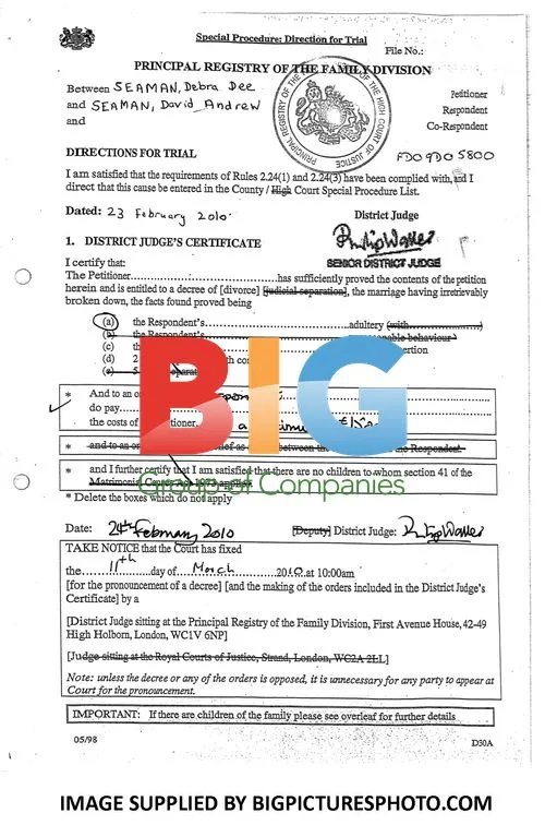 David Seaman Divorce Documents