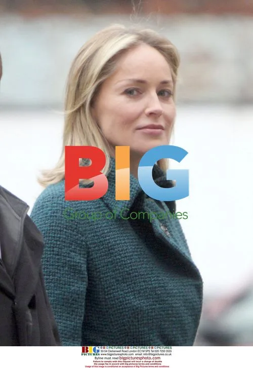 Christopher Meloni, Mariska Hargitay and Sharon Stone on 'Law & Order: SVU'