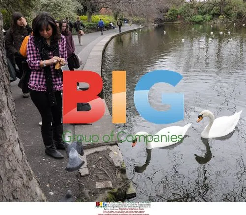 Roxanne Pallett Feeding Swans in Dublin