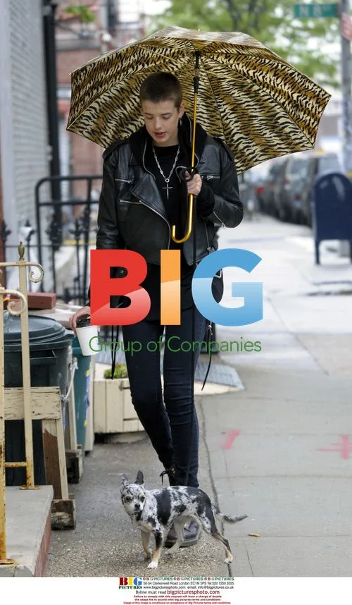 Agyness Deyn Shopping with Dog in NYC