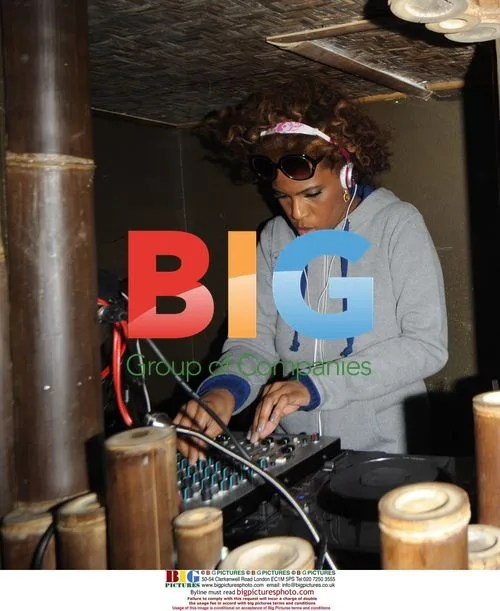 Macy Gray Performs at Michael Evans' Birthday Party