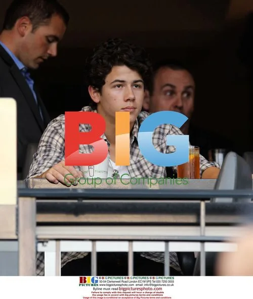 Nick Jonas and Joe Jonas at Baseball Game