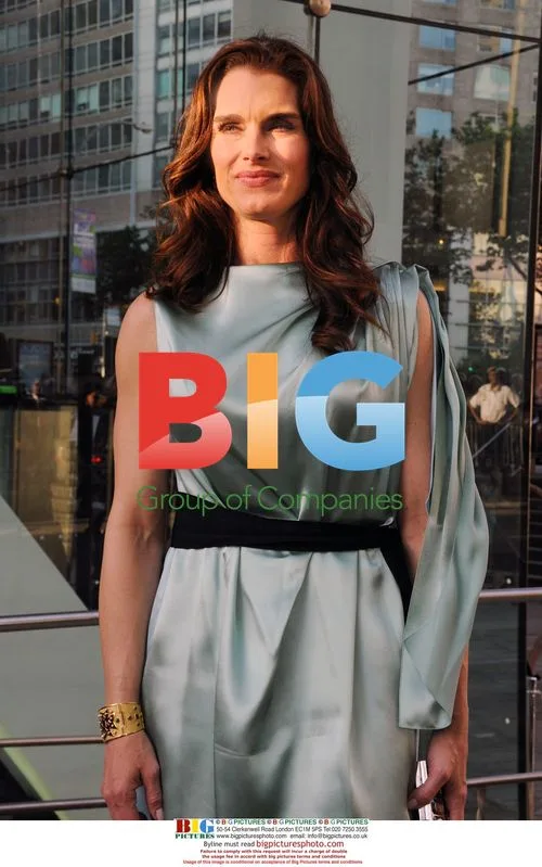 Brooke Shields at Chaplin Award Tribute