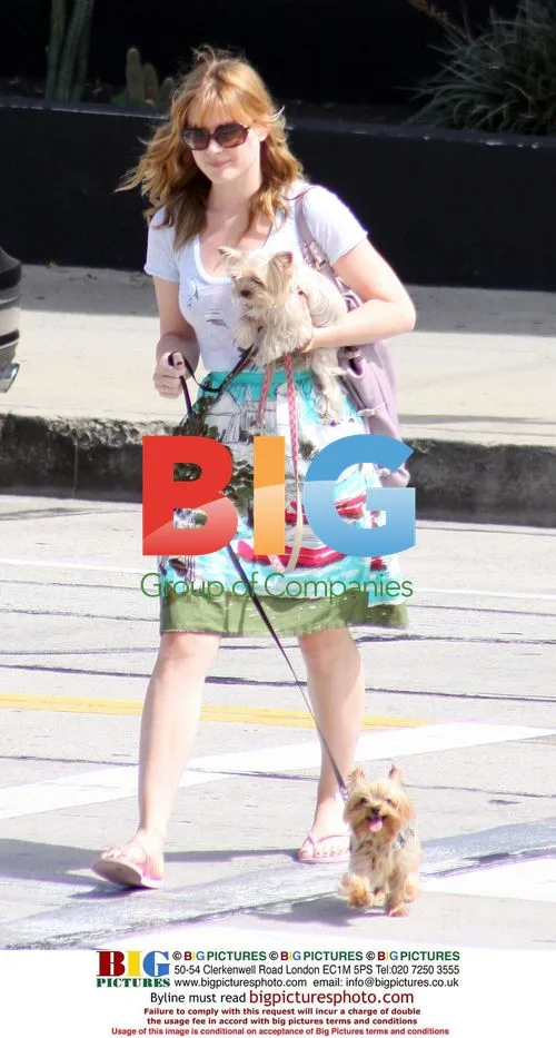 Alex Breckenridge Walking Dogs in LA