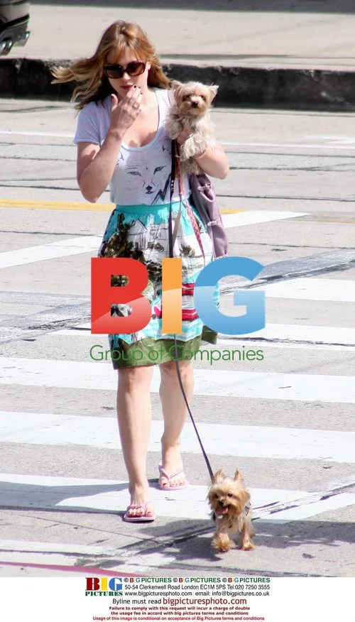 Alex Breckenridge Walks Dogs in LA