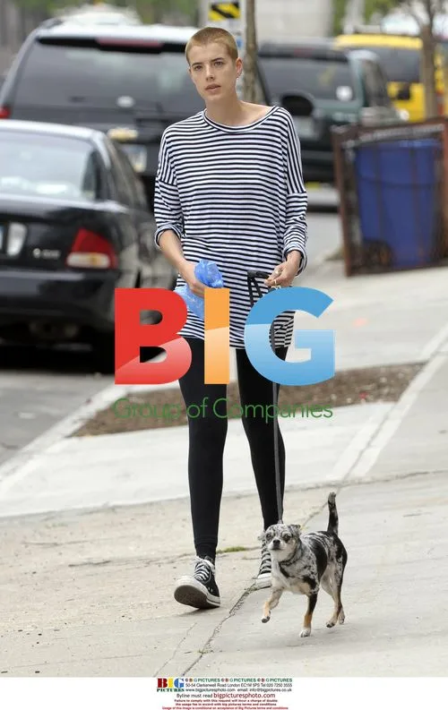Agyness Deyn takes dog for walk in NYC