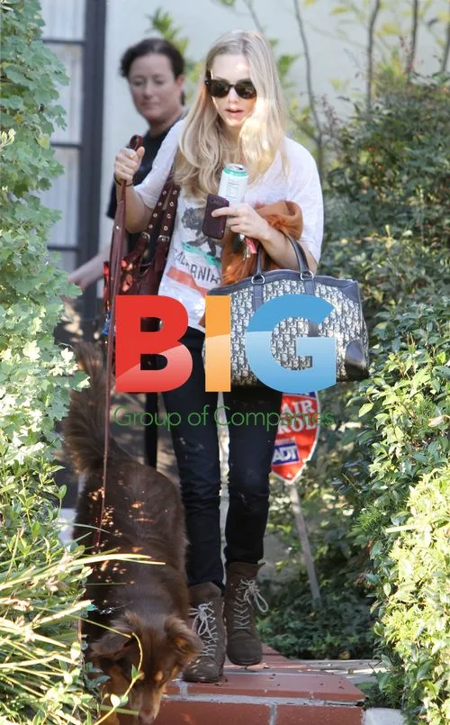 Amanda Seyfried Leaves Home With Dogs
