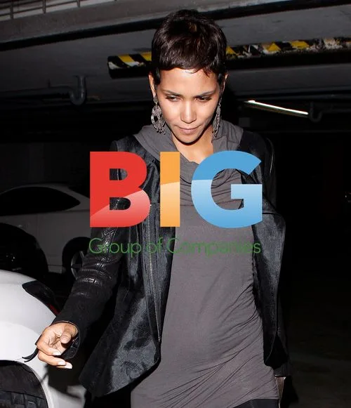 Halle Berry and Oliver Martinez dining in LA