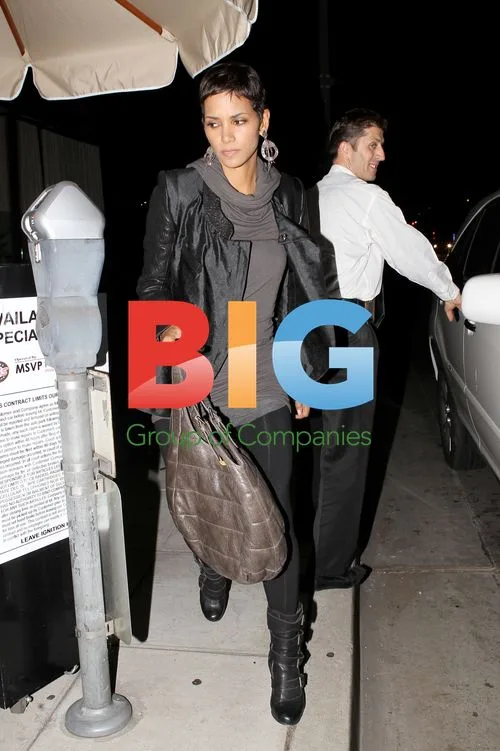 Halle Berry and Oliver Martinez Dining in LA