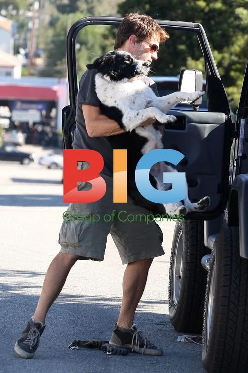 Stephen Moyer at Dog Park