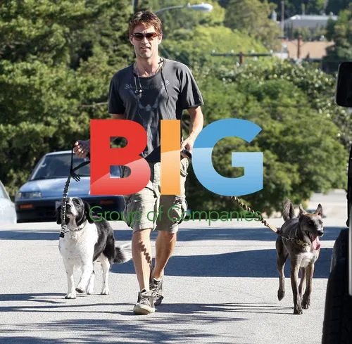 Stephen Moyer at Dog Park with Pooches
