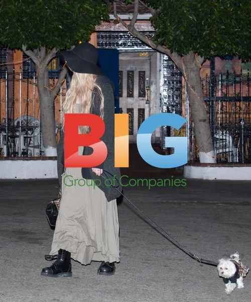 Taylor Momsen Leaving Restaurant