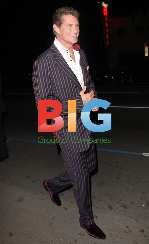 David Hasselhoff at DWTS 200th Episode Party