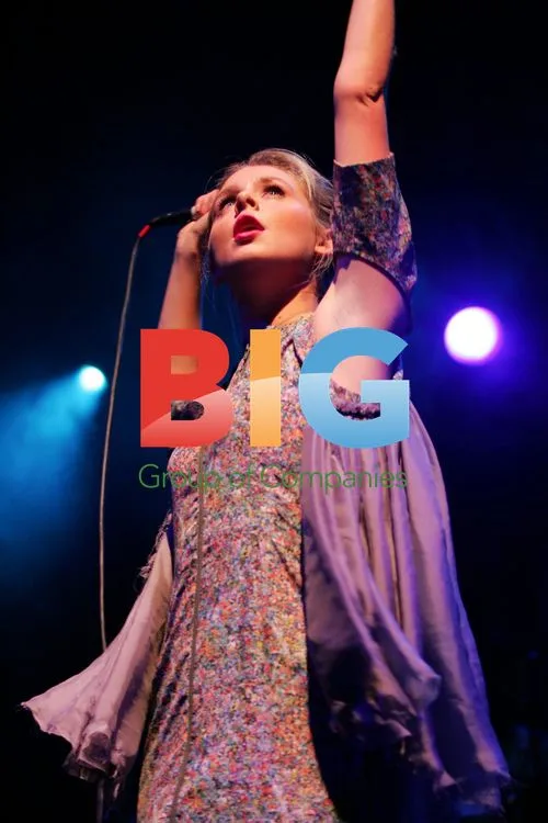 Diana Vickers Concert