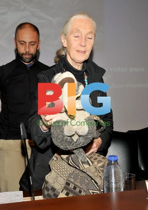 Jane Goodall Attends Conference in Madrid