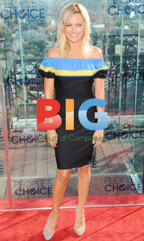 Malin Akerman at People's Choice Awards 2011 Press Conference