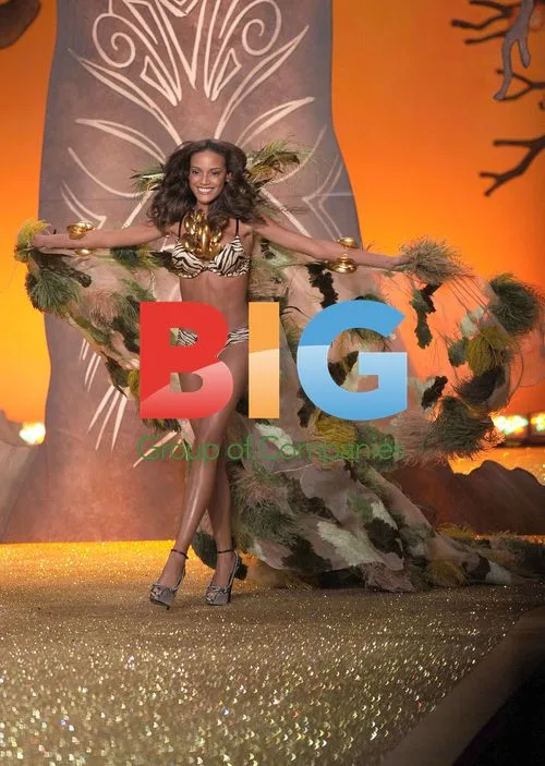 Selita Ebanks at 2010 Victoria's Secret Fashion Show
