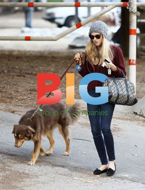 Amanda Seyfried out with friends and dog in Griffith Park