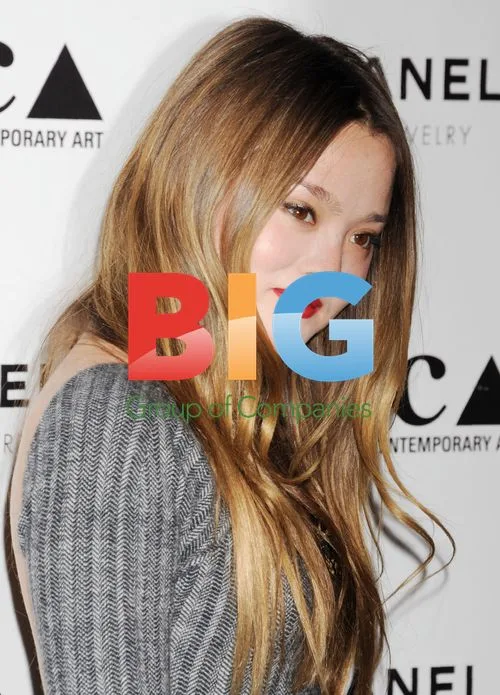 Devon Aoki at MOCA Gala