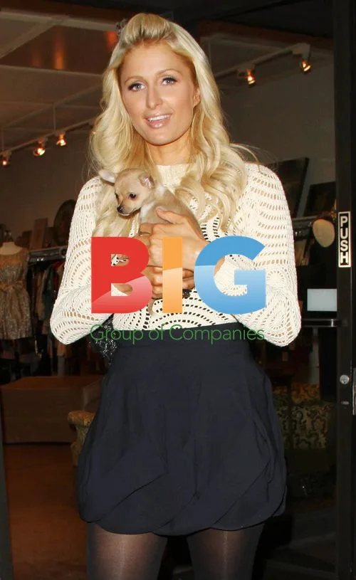 Paris Hilton and Brooke Muller at Beverly Glen Mall