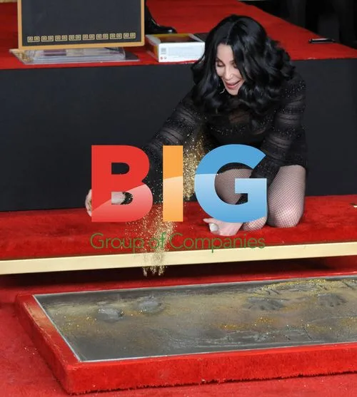 Cher Adds Handprints at Grauman's Chinese Theatre