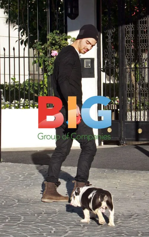 Joe Jonas with dog in Hollywood
