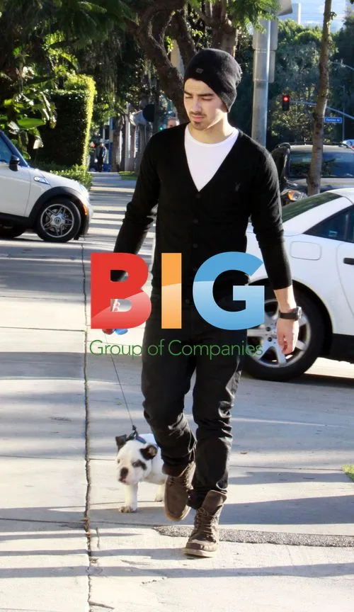 Joe Jonas takes dog Winston for stroll