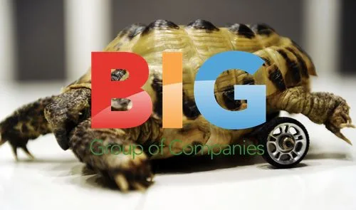 Mimmi the Turtle with Toy Wheels