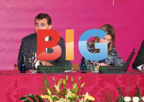 Princes of Asturias Visit Medina del Campo