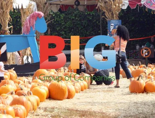 Christina Aguilera and Son at Pumpkin Patch