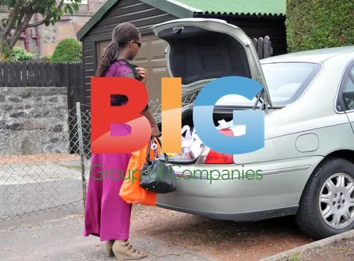 Gamu Nhengu's mother arrives home