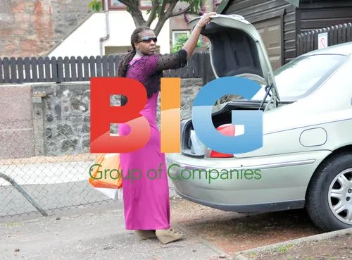Gamu Nhengu's Mother Arrives Home From Shopping