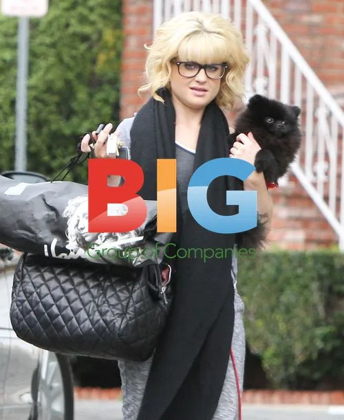 Kelly Osbourne Runs Errands in Brentwood