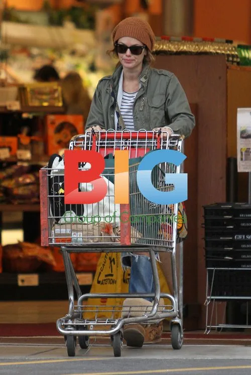 Rachel Bilson buys groceries with friend