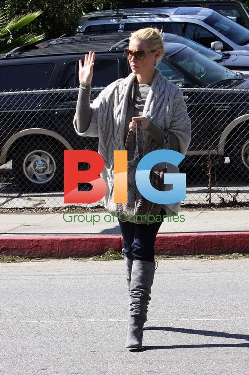 Katherine Heigl Arriving at Restaurant