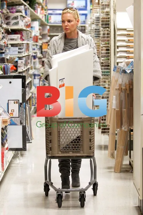 Katherine Heigl Shopping at Michaels