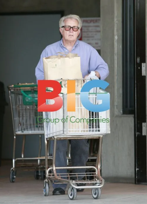 Martin Sheen Shops with Political Bumper Stickers