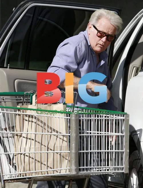 Martin Sheen Gets Groceries in Malibu
