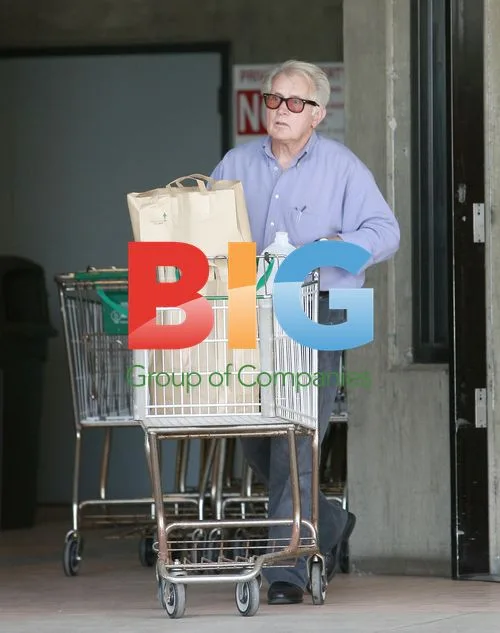 Martin Sheen Gets Groceries in Malibu