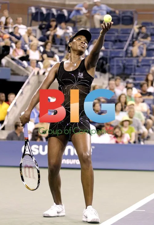 Venus Williams at 2010 U.S. Open