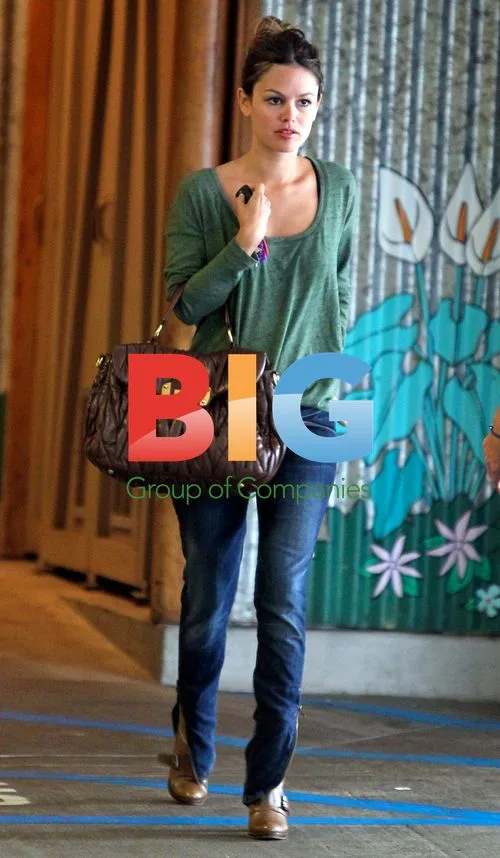 Rachel Bilson Shopping in Glendale